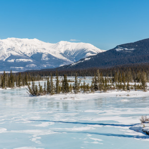 Athabasca River Athabasca River
