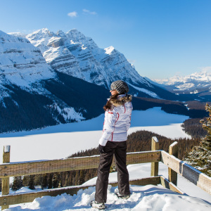 Peyto Lake Peyto Lake