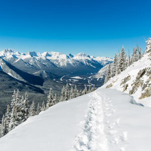 Sulphur Mountain Sulphur Mountain