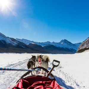 Auf den Spray Lakes Auf den Spray Lakes