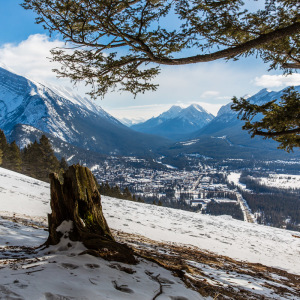 Am Mt. Norquay Am Mt. Norquay