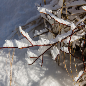 Vermilion Lakes Vermilion Lakes