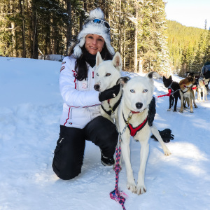 Schmusen mit den Huskies Schmusen mit den Huskies