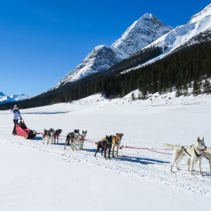 Mushin’ in the snow Mushin' in the snow