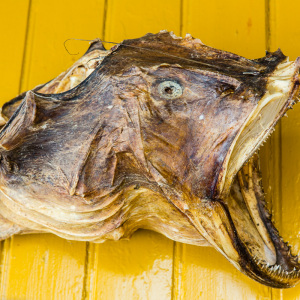 Trockenfisch Trockenfisch