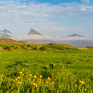 Bei Fredvang Bei Fredvang