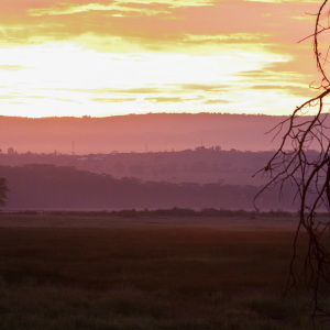 Sonnenaufgang am Lake Nakuru Sonnenaufgang am Lake Nakuru