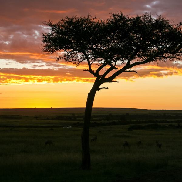 Farbenreicher Sonnenaufgang
