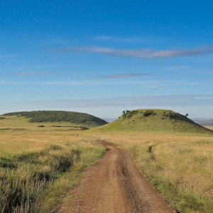 Landschaft der Massai Mara