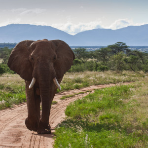 Wer macht denn jetzt hier Platz?