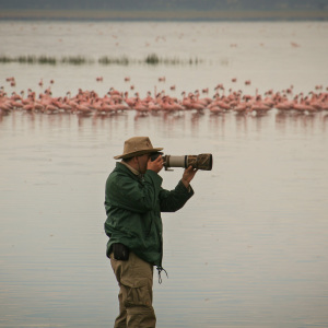 Viel Zoom hilft viel ! Viel Zoom hilft viel !