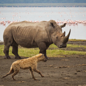 Skeptischer Blick Skeptischer Blick
