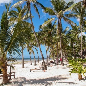 Traumhafter Strandabschnitt Traumhafter Strandabschnitt