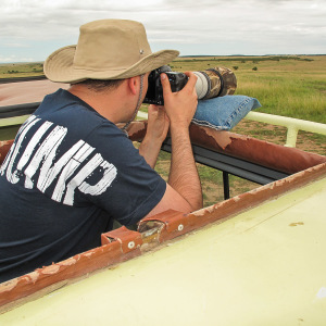 Franky auf Fotopirsch