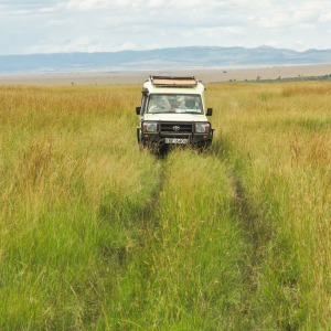 Unser Weg in der Massai Mara