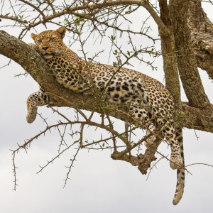 So lässt es sich aushalten So lässt es sich aushalten