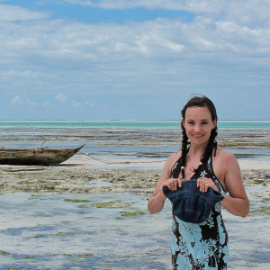 Muscheln sammeln bei Ebbe Muscheln sammeln bei Ebbe