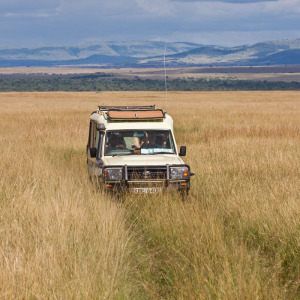 Fahrt durch hohes Gras