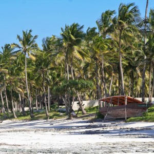 Strandabschnitt auf Sansibar Strandabschnitt auf Sansibar