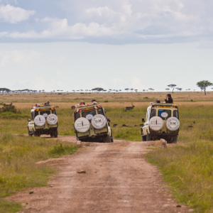 Unterwegs in der Massai Mara Unterwegs in der Massai Mara