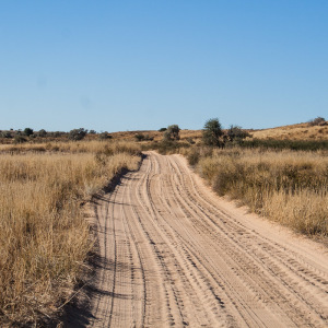 Straßen im Kgalagadi Park Straßen im Kgalagadi Park