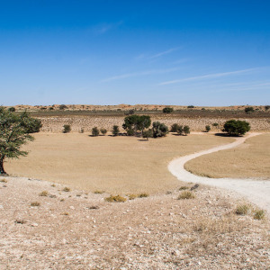 Landschaft im Kgalagadi Landschaft im Kgalagadi