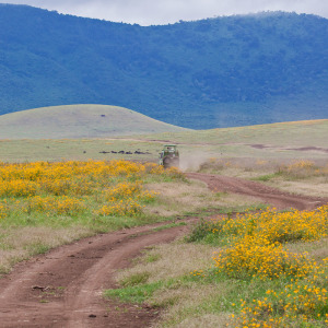 Landschaft im Ngorongoro Krater Landschaft im Ngorongoro Krater