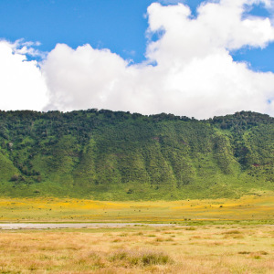 Impression aus dem Ngorongoro Krater Impression aus dem Ngorongoro Krater