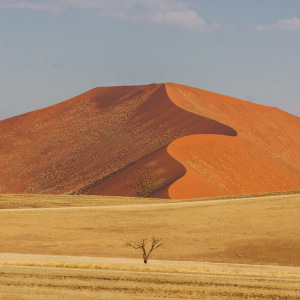 Die roten Dünen von Sossusvlei Die roten Dünen von Sossusvlei