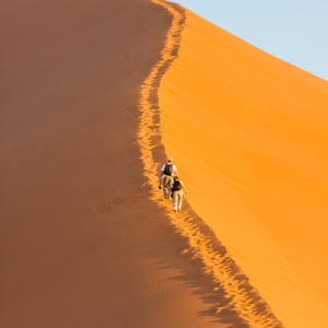 Düne 45 – der Aufstieg Düne 45 - der Aufstieg