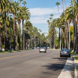 Palmen an den Straßen Palmen an den Straßen