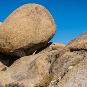 Hoffentlich bleibt der liegen Hoffentlich bleibt der liegen