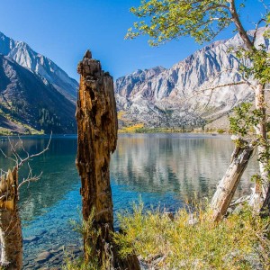 Der Convict Lake Der Convict Lake