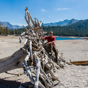 Toter Baum am Horseshoe Lake Toter Baum am Horseshoe Lake