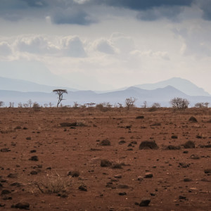 Karge Landschaft Karge Landschaft