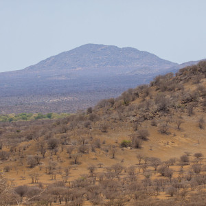 Überblick auf den hügeligen Tsavo West Überblick auf den hügeligen Tsavo West