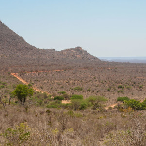 Der Tsavo West Nationalpark Der Tsavo West Nationalpark