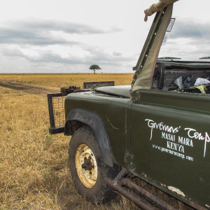 Unterwegs in der Mara Unterwegs in der Mara