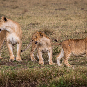 Famlilienausflug Famlilienausflug