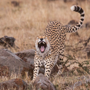 Erstmal recken und strecken Erstmal recken und strecken