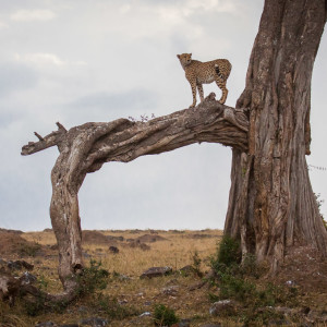 Bester Aussichtspunkt Bester Aussichtspunkt