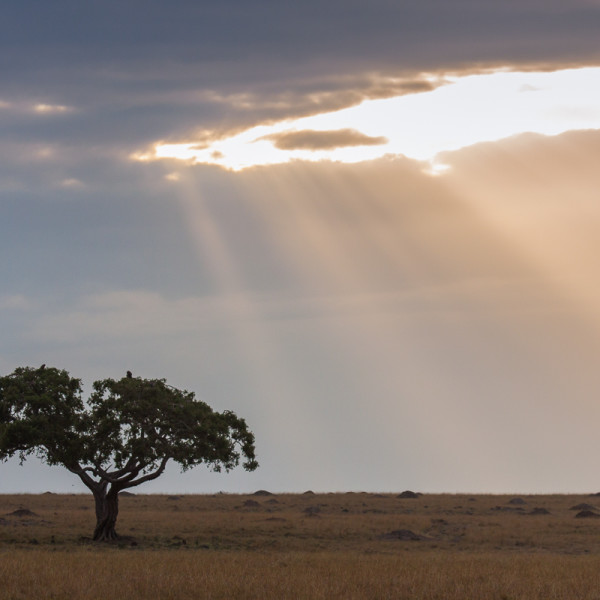 Morgendliche Impression aus der Mara Morgendliche Impression aus der Mara