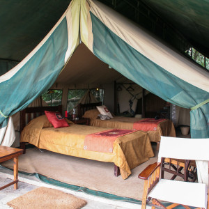 Unser Zelt im Governor’s Camp Unser Zelt im Governor's Camp