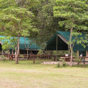 Im Govenor’s Camp Im Govenor's Camp