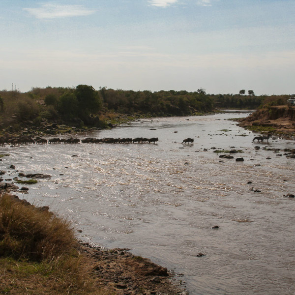 Einer der vielen Crossing Stellen über den Mara River Einer der vielen Crossing Stellen über den Mara River