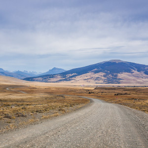 Schotterpiste zum Torres Del Paine NP Schotterpiste zum Torres Del Paine NP