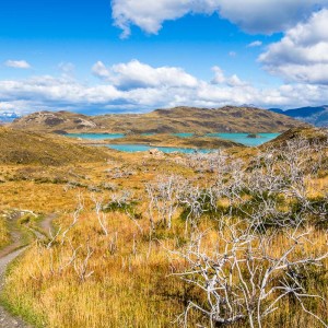 Auf dem Weg zum Mirador Cuernos Auf dem Weg zum Mirador Cuernos