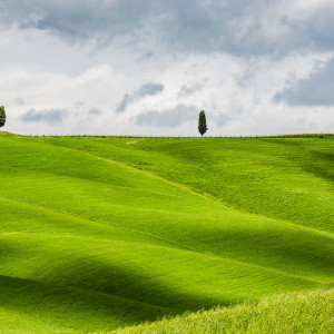 Sattgrüne Hügel auf dem Weg in die Crete Val D'Orcia