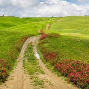 Unterwegs auf kleinen Feldwegen Unterwegs auf kleinen Feldwegen