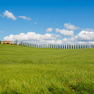 Agriturismo Poggio Covili Agriturismo Poggio Covili